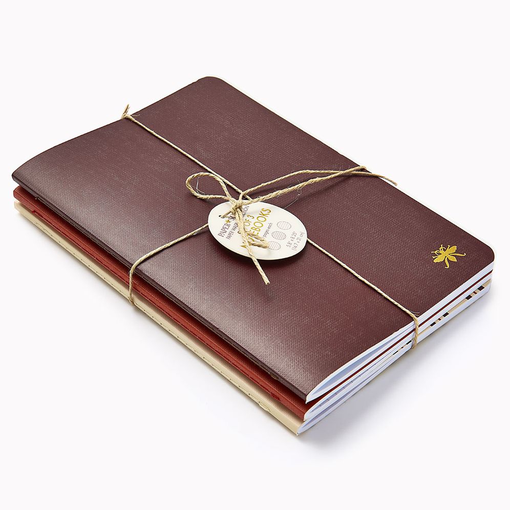 Chocolate Paper Wasp S/3 Notebooks - Image 3