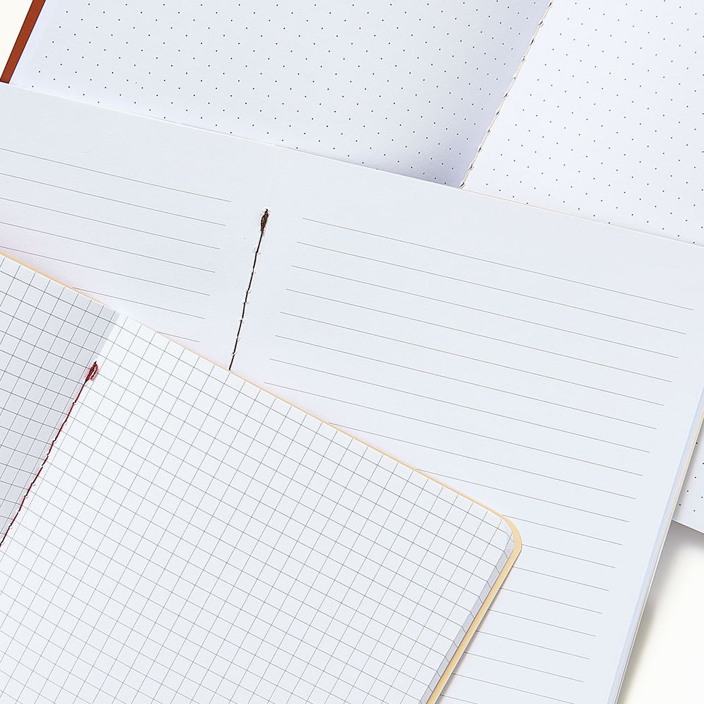 Chocolate Paper Wasp S/3 Notebooks - Image 4