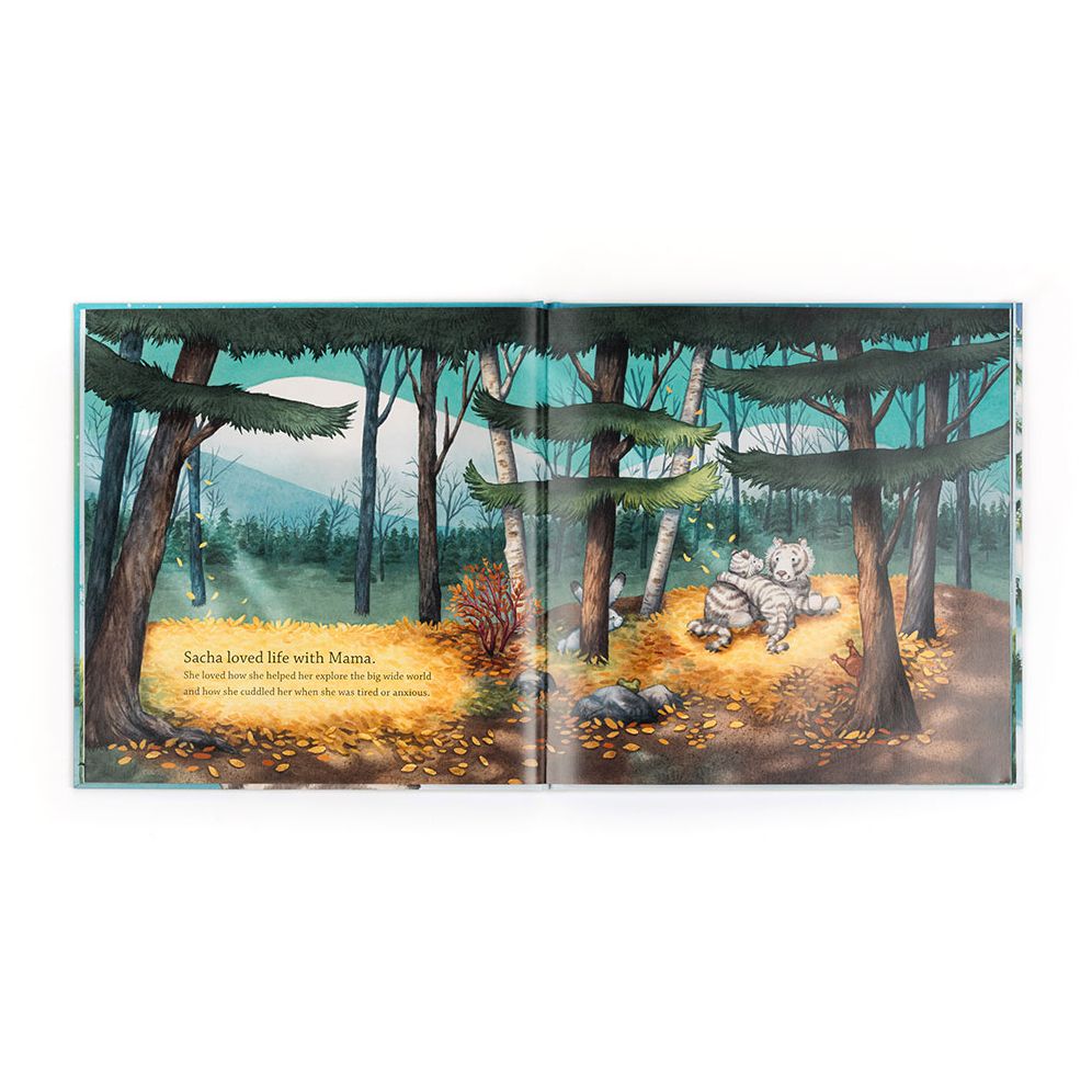 Alternative view of Sacha and the Most Wonderful Thing Book