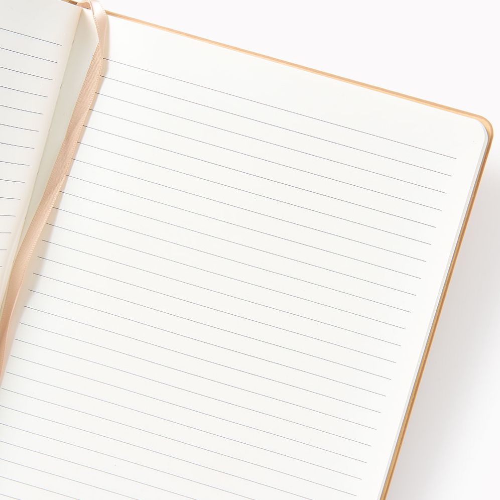 Alternative view of Choc Stripe Paper Wasp LG Lined Journal