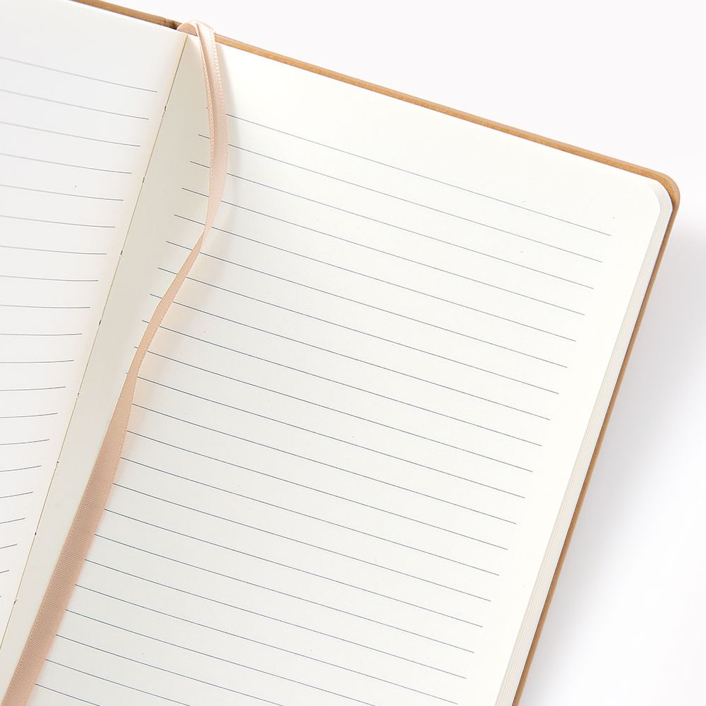 Alternative view of Sand Paper Wasp Med Lined Journal