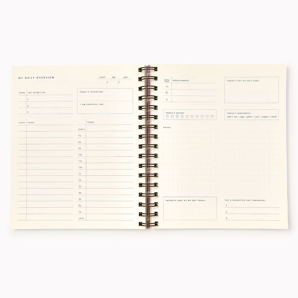 Alternative view of Wisteria Dots Paper Wasp Daily Planner